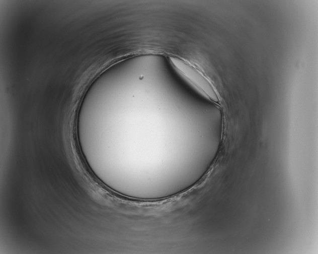 X0000088680001200706141403