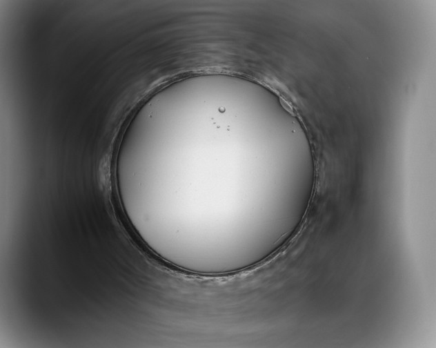X0000088680002200706141403