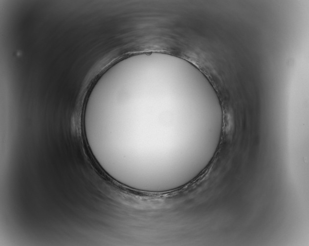 X0000088680004200706141403