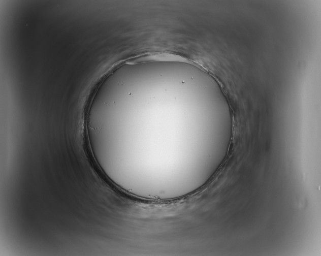 X0000088680005200706141403