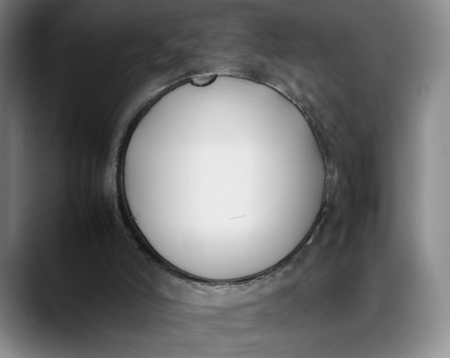 X0000088680006200706141403
