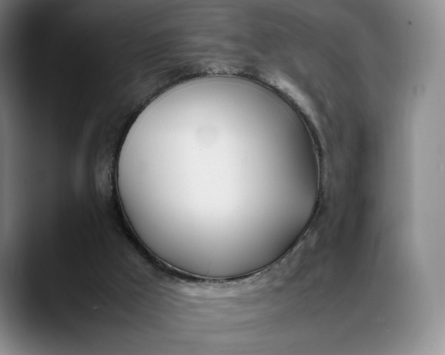X0000088680009200706141402