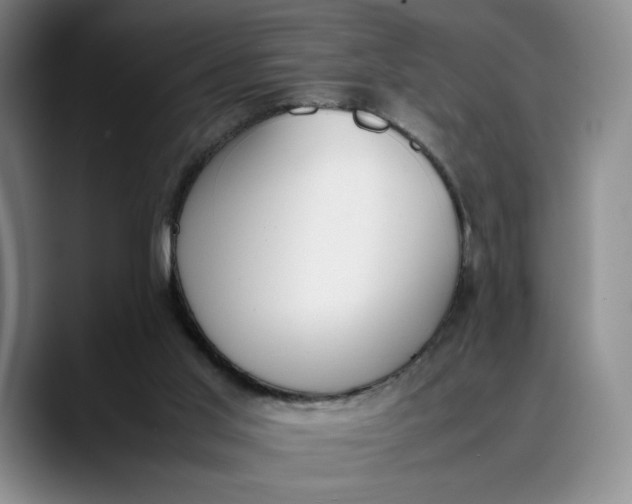 X0000088680013200706141402