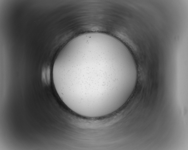 X0000088680014200706141402