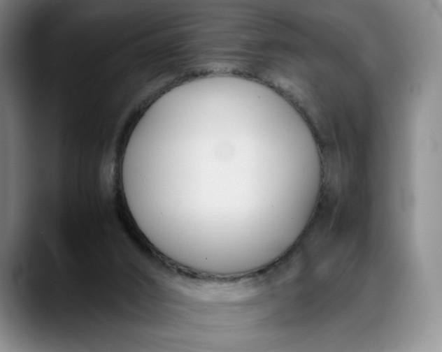 X0000088680016200706141402