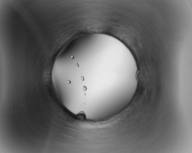 X0000088680017200706141402