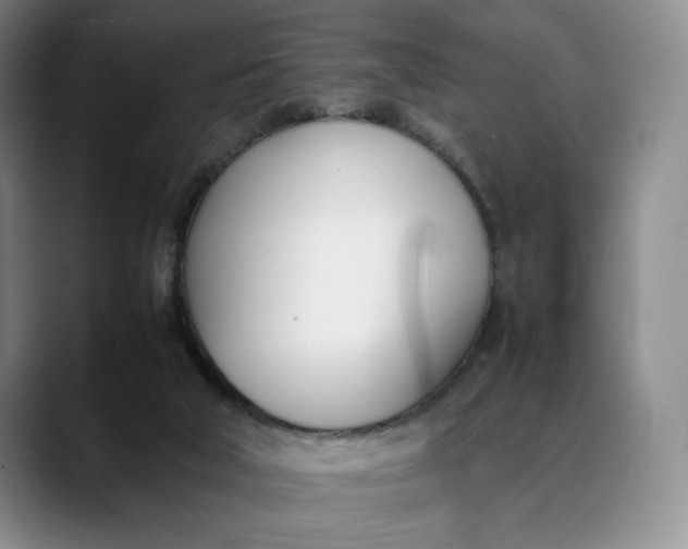 X0000088680018200706141402