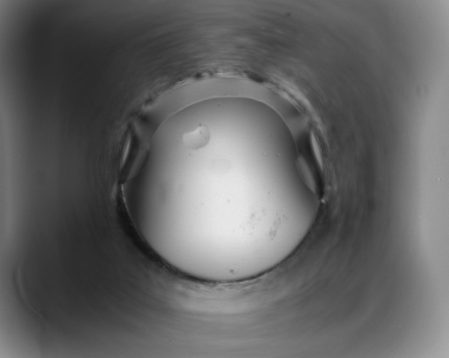 X0000088680019200706141402