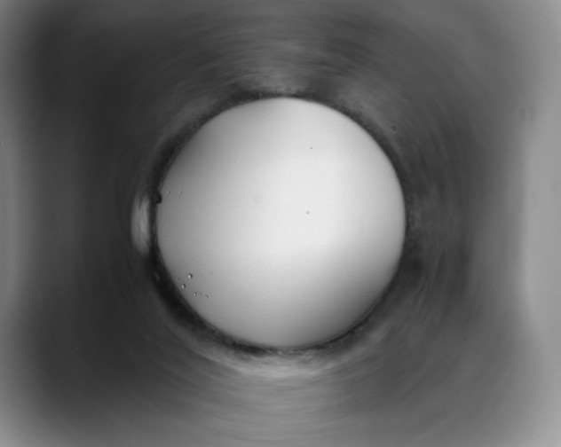 X0000088680020200706141402