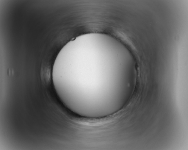X0000088680021200706141402