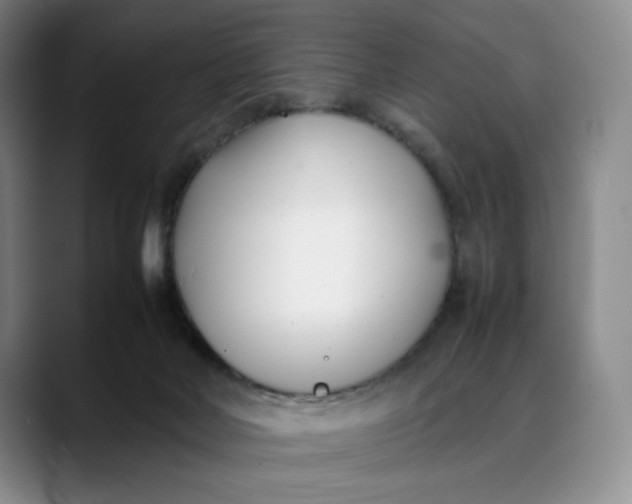 X0000088680026200706141402