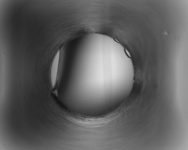 X0000088680027200706141402