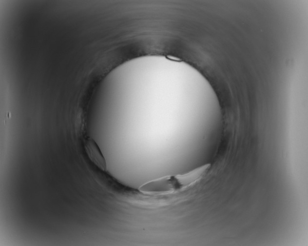 X0000088680029200706141402