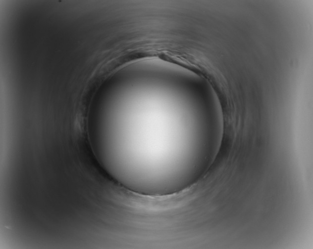 X0000088680035200706141402