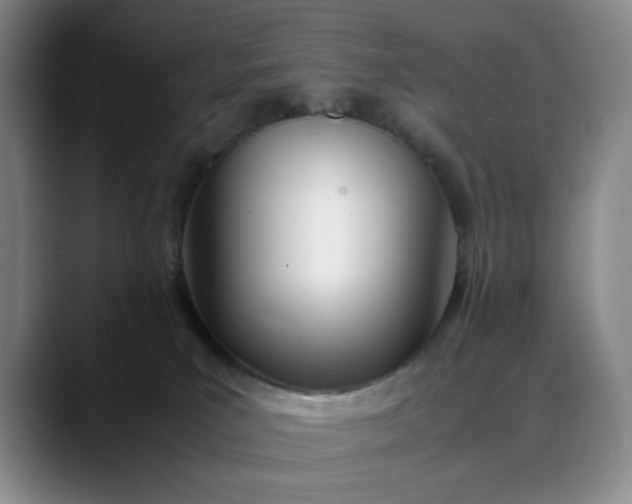 X0000088680039200706141402