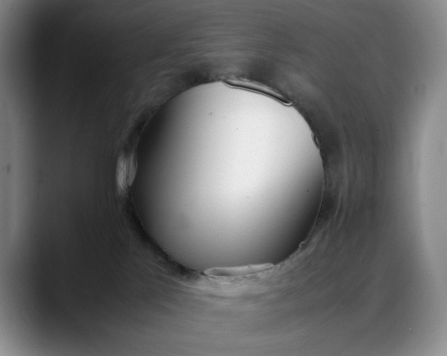 X0000088680041200706141402