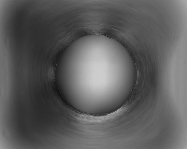 X0000088680048200706141402