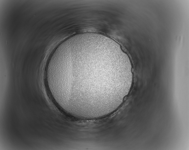 X0000088680049200706141401