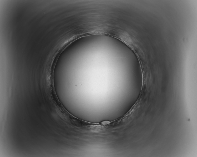 X0000088680050200706141401