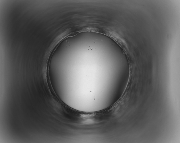 X0000088680051200706141401