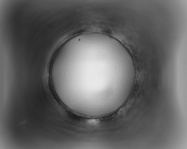 X0000088680053200706141402