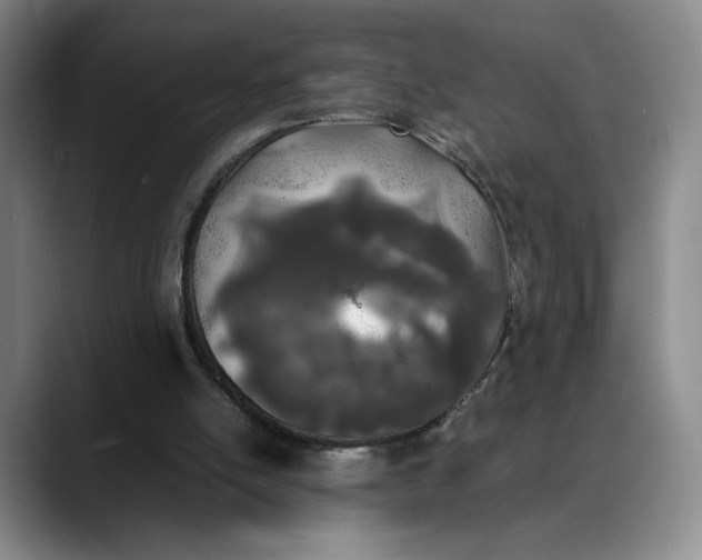 X0000088680054200706141402