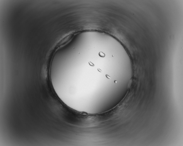 X0000088680060200706141402