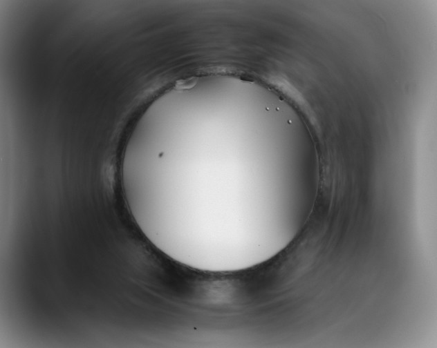X0000088680063200706141402