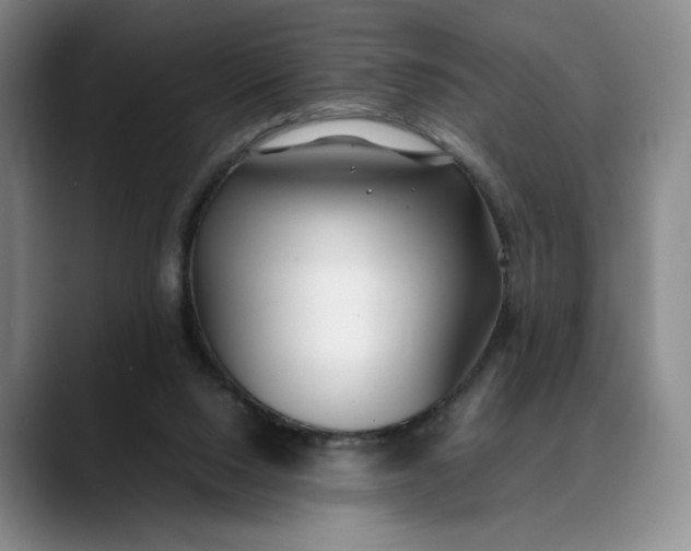 X0000088680064200706141402