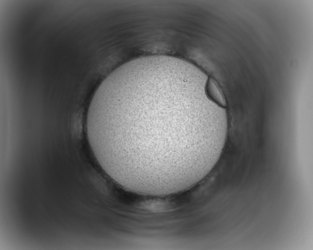 X0000088680065200706141402