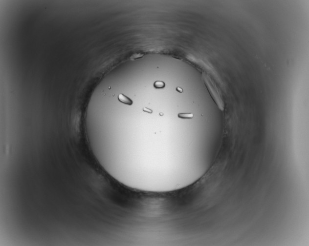 X0000088680066200706141402