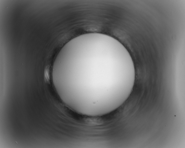 X0000088680069200706141402