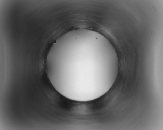 X0000088680073200706141402