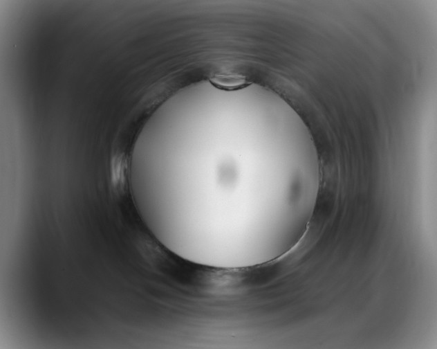 X0000088680094200706141402