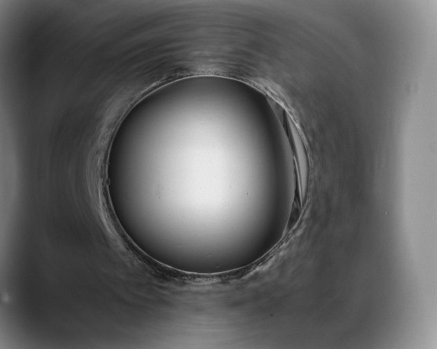 X0000088680097200706141401