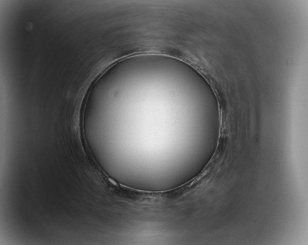X0000088680099200706141401