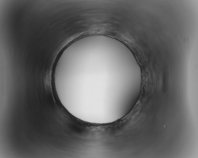 X0000088680100200706141401