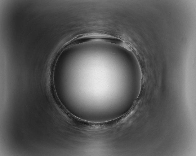 X0000088680101200706141401
