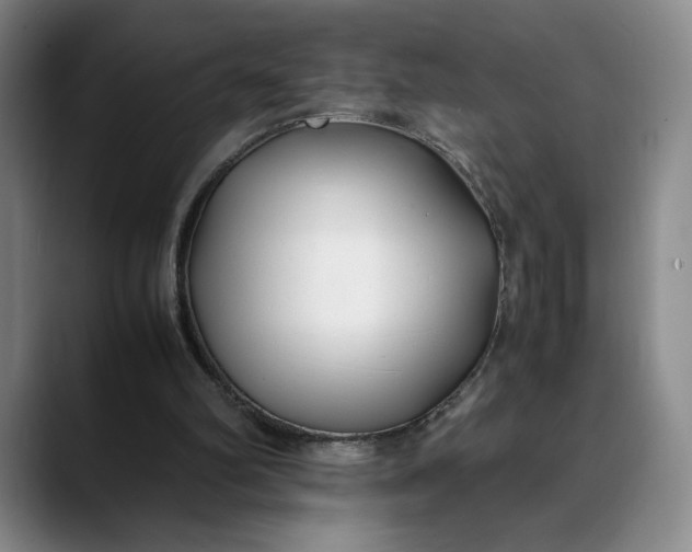 X0000088680102200706141401