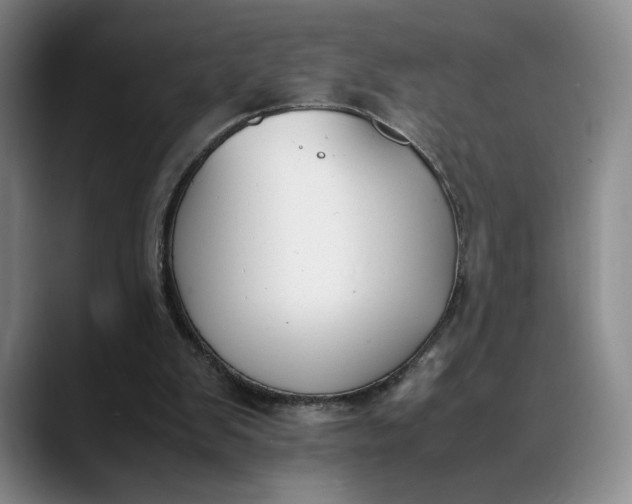 X0000088680103200706141401
