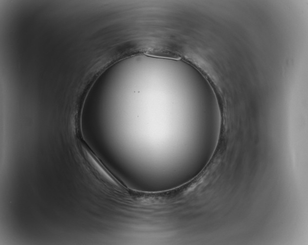 X0000088680105200706141401