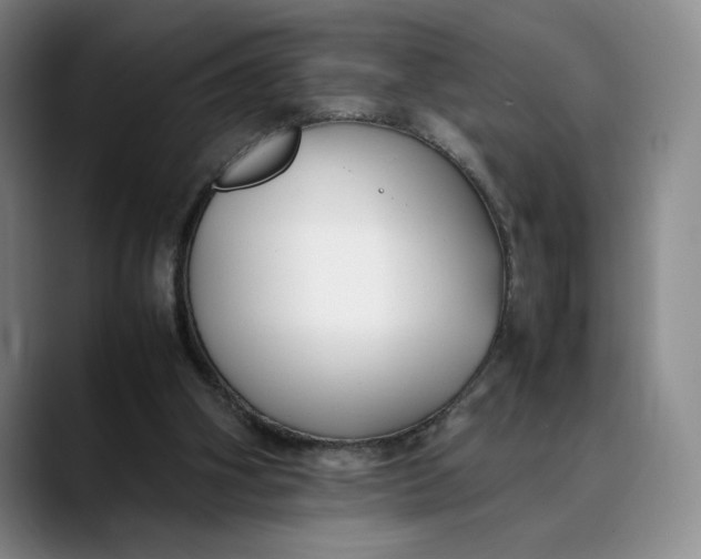 X0000088680106200706141401