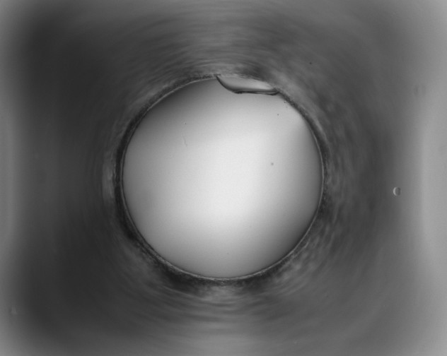 X0000088680107200706141401