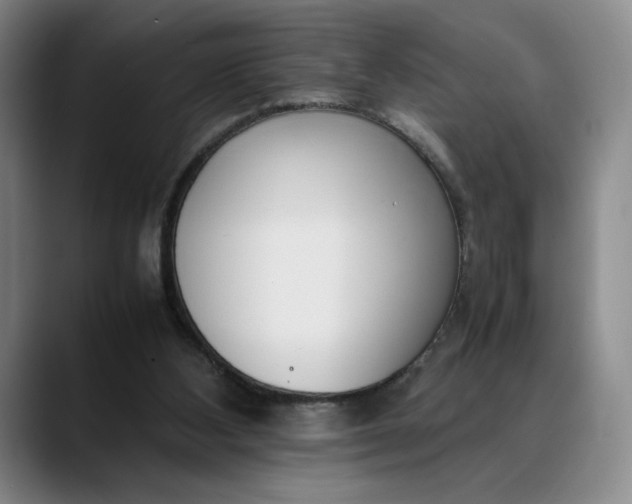 X0000088680108200706141401