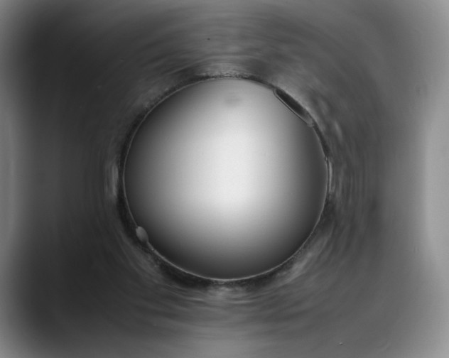 X0000088680109200706141401