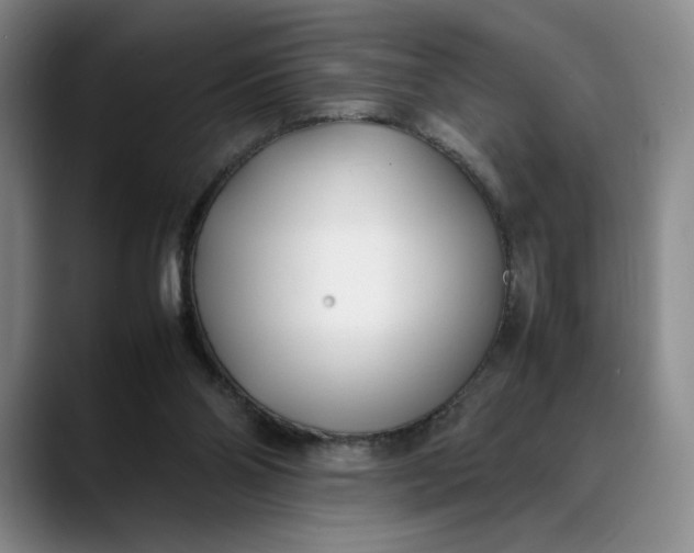 X0000088680110200706141401