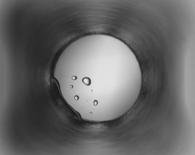 X0000088680112200706141401