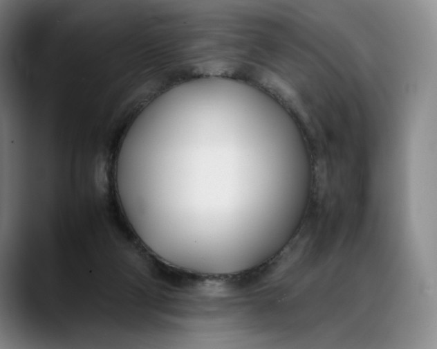 X0000088680114200706141401