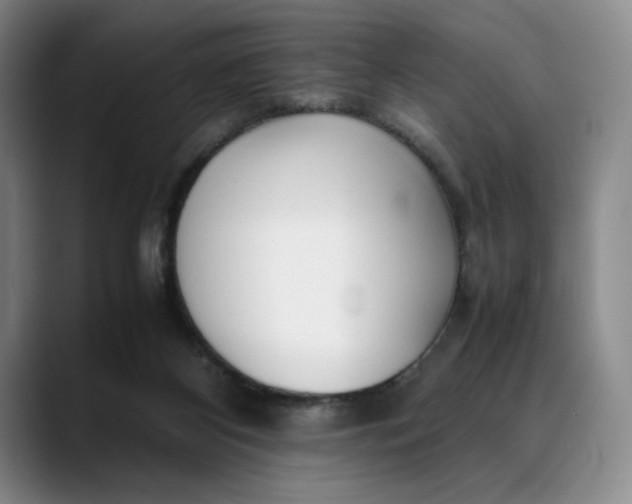 X0000088680116200706141401