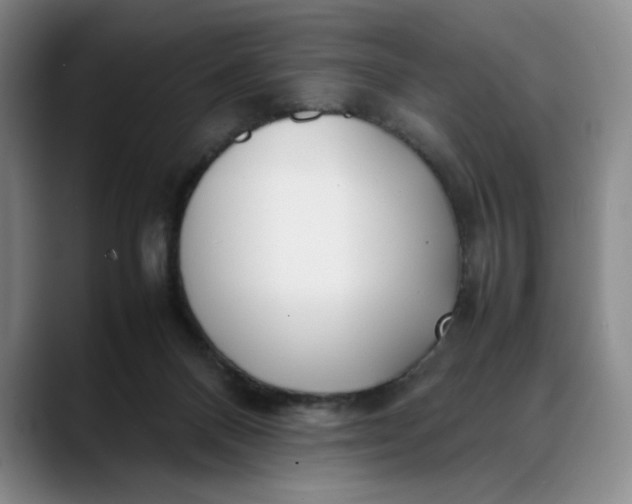 X0000088680120200706141401